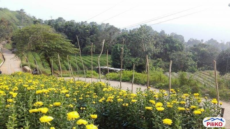 Residential Lot for sale in Cebu City - image 4