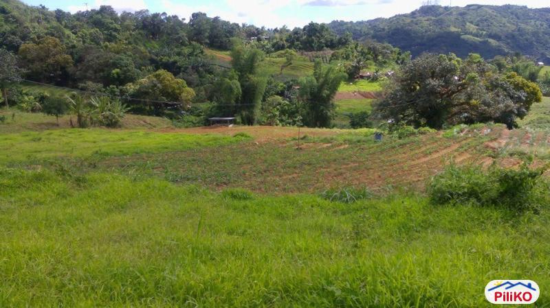 Agricultural Lot for sale in Cebu City in Philippines