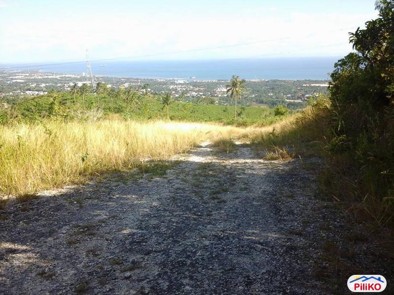 Residential Lot for sale in Cebu City - image 4