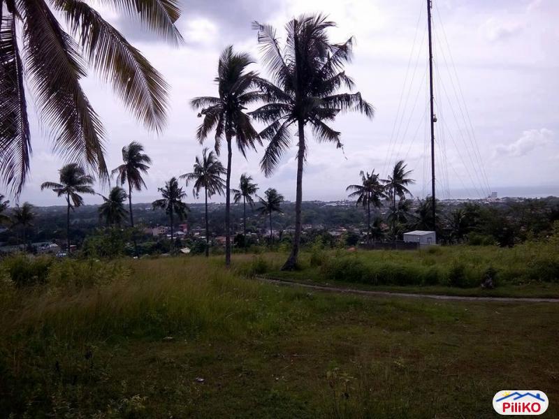Residential Lot for sale in Cebu City - image 4