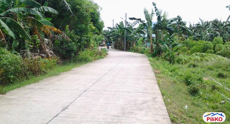 Residential Lot for sale in Cebu City in Philippines