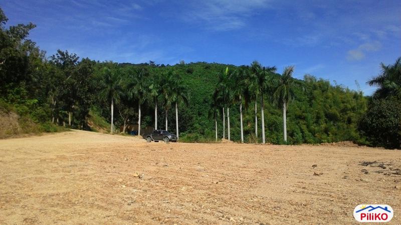 Residential Lot for sale in Cebu City - image 4