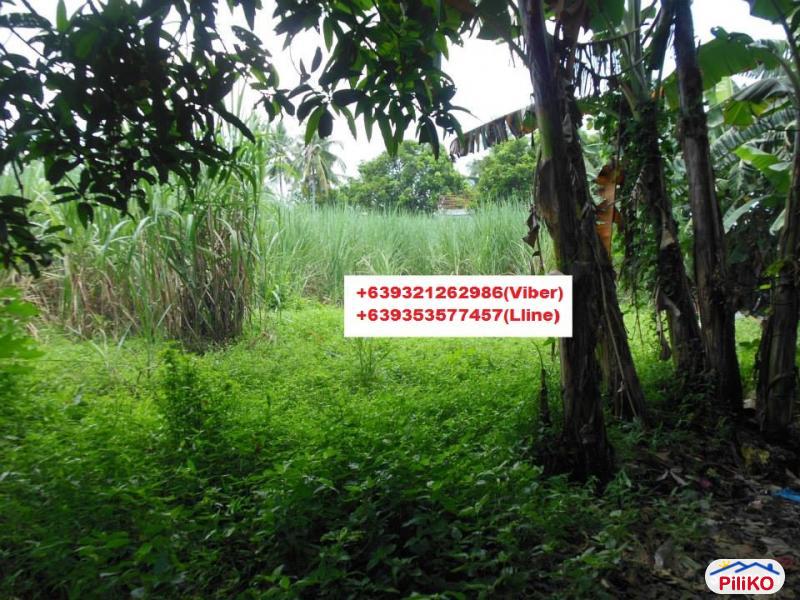 Residential Lot for sale in Cebu City - image 4