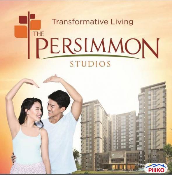 1 bedroom Studio for sale in Cebu City - image 4