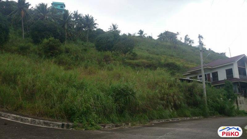 Residential Lot for sale in Cebu City - image 4