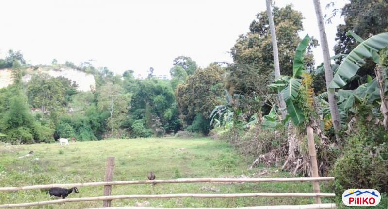 Picture of Residential Lot for sale in Cebu City in Cebu