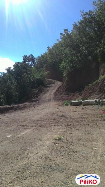 Residential Lot for sale in Cebu City - image 5