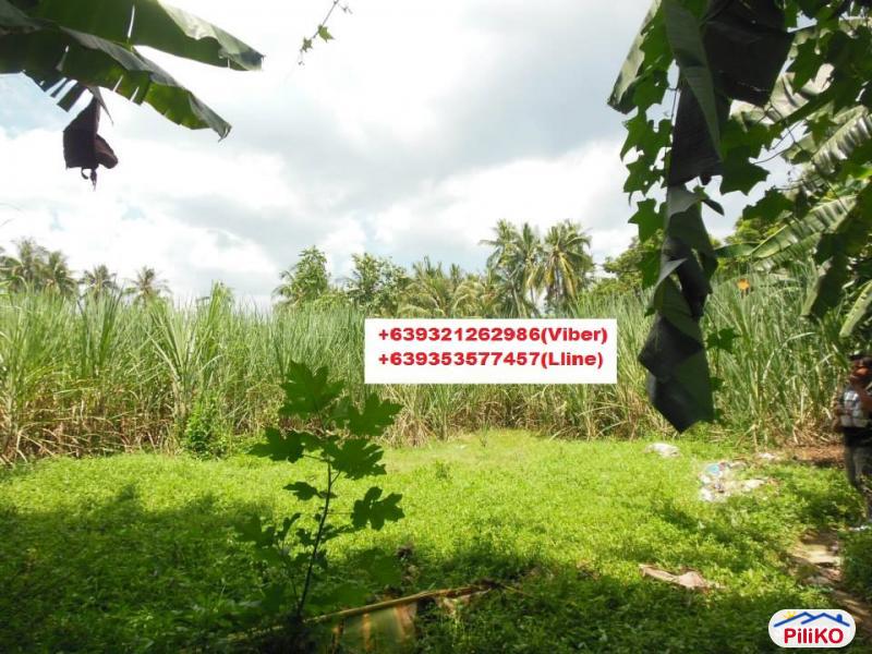 Residential Lot for sale in Cebu City - image 5