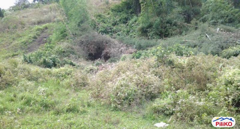 Picture of Residential Lot for sale in Cebu City in Philippines