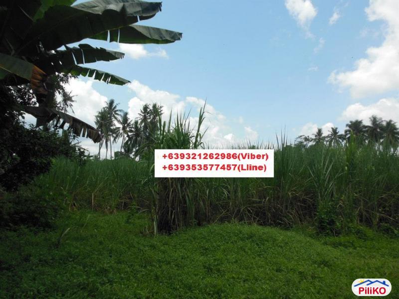 Picture of Residential Lot for sale in Cebu City in Philippines