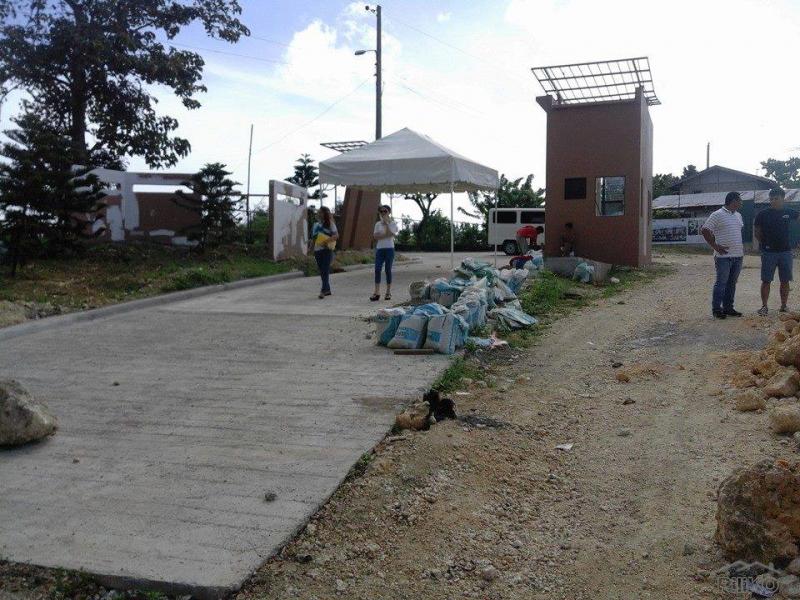 Picture of Residential Lot for sale in Mandaue in Philippines