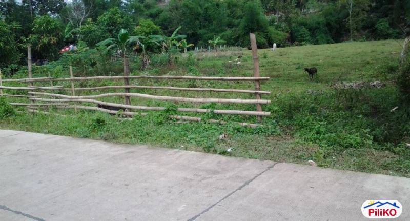 Residential Lot for sale in Cebu City in Cebu - image