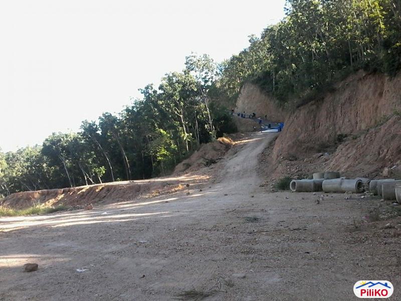 Residential Lot for sale in Cebu City - image 7