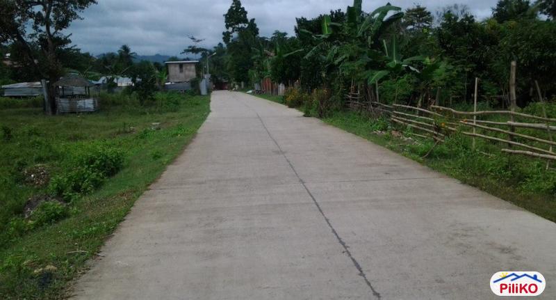 Residential Lot for sale in Cebu City in Philippines - image