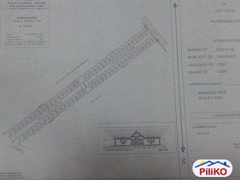 Residential Lot for sale in Cebu City - image 9