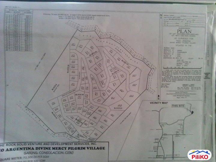 Residential Lot for sale in Cebu City - image 9