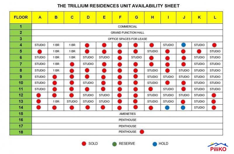1 bedroom Studio for sale in Cebu City 461415 Photo 9