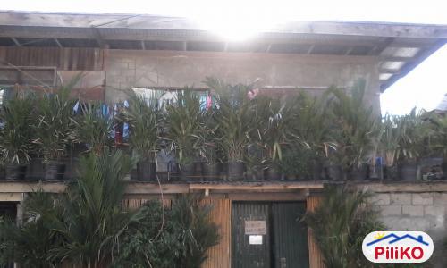 Picture of Retail Space for sale in Other Cities