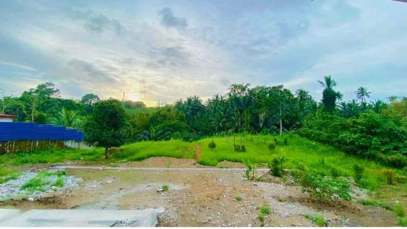 Picture of 3 bedroom Land and Farm for sale in Silang in Philippines