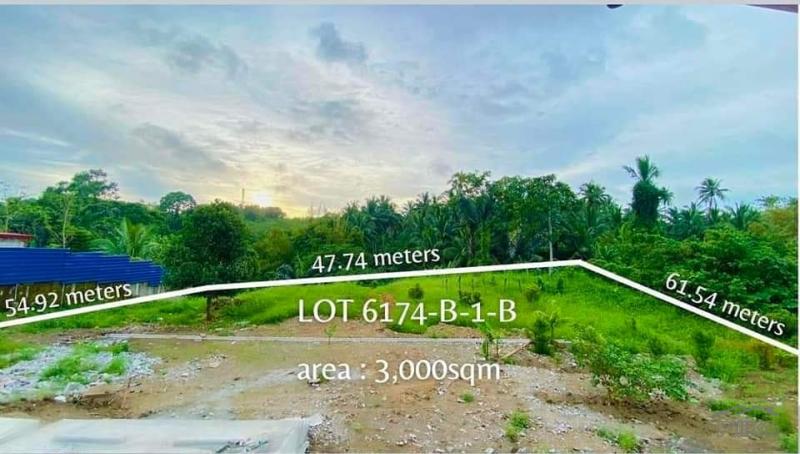 3 bedroom Land and Farm for sale in Silang in Cavite - image