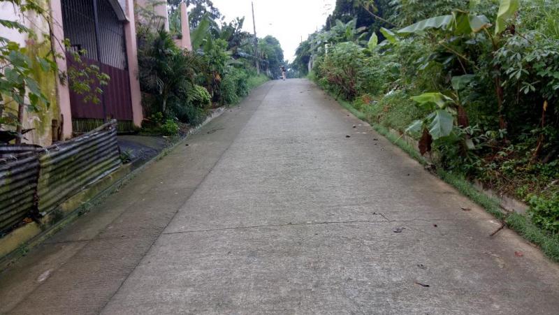 Residential Lot for sale in Antipolo - image 10