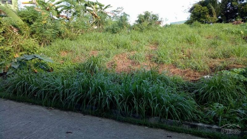 Residential Lot for sale in Antipolo - image 12