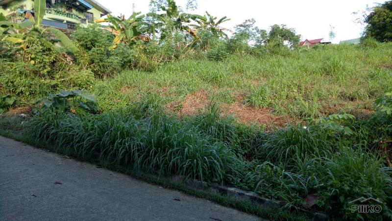 Residential Lot for sale in Antipolo - image 13
