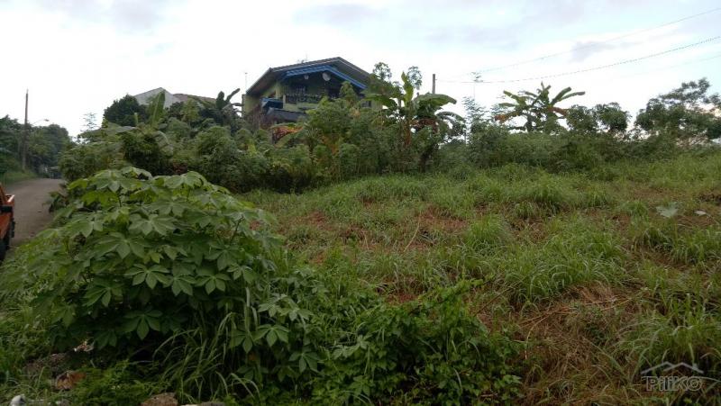 Residential Lot for sale in Antipolo - image 14
