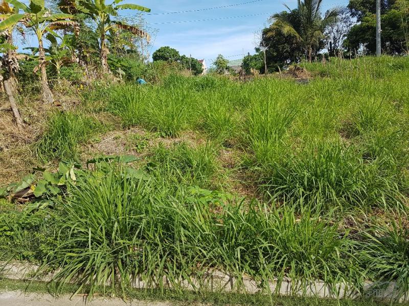 Residential Lot for sale in Antipolo - image 15