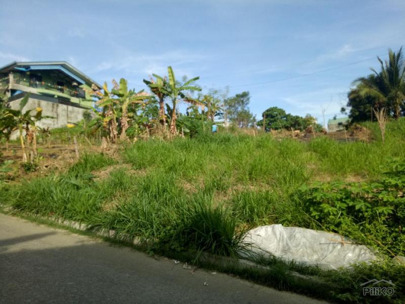 Residential Lot for sale in Antipolo - image 16