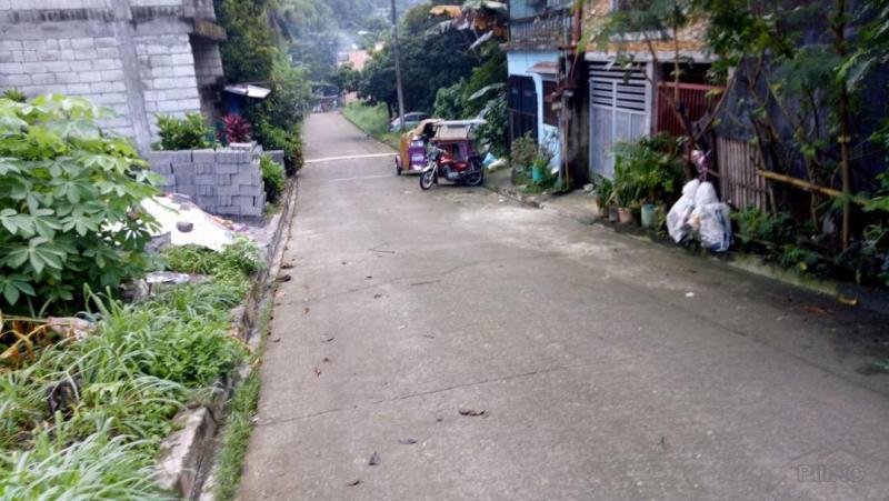 Residential Lot for sale in Antipolo - image 18