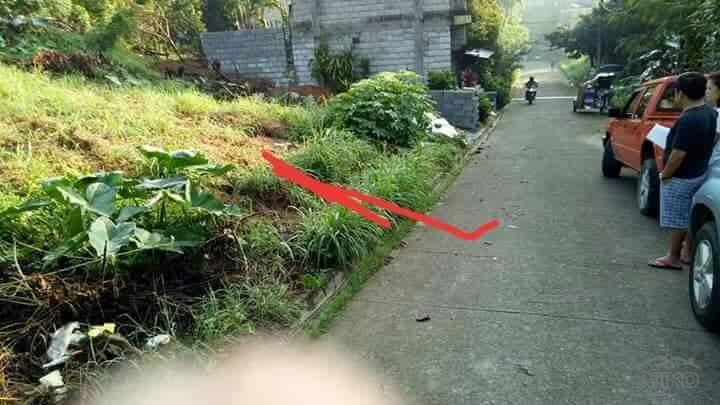 Residential Lot for sale in Antipolo - image 9
