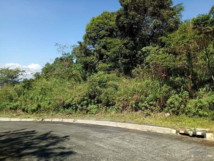 Residential Lot for sale in Baguio - image 10