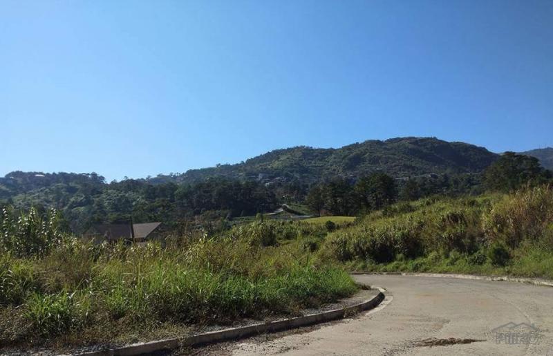 Residential Lot for sale in Baguio - image 11