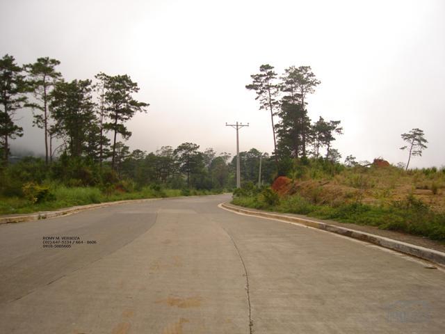 Residential Lot for sale in Baguio - image 9