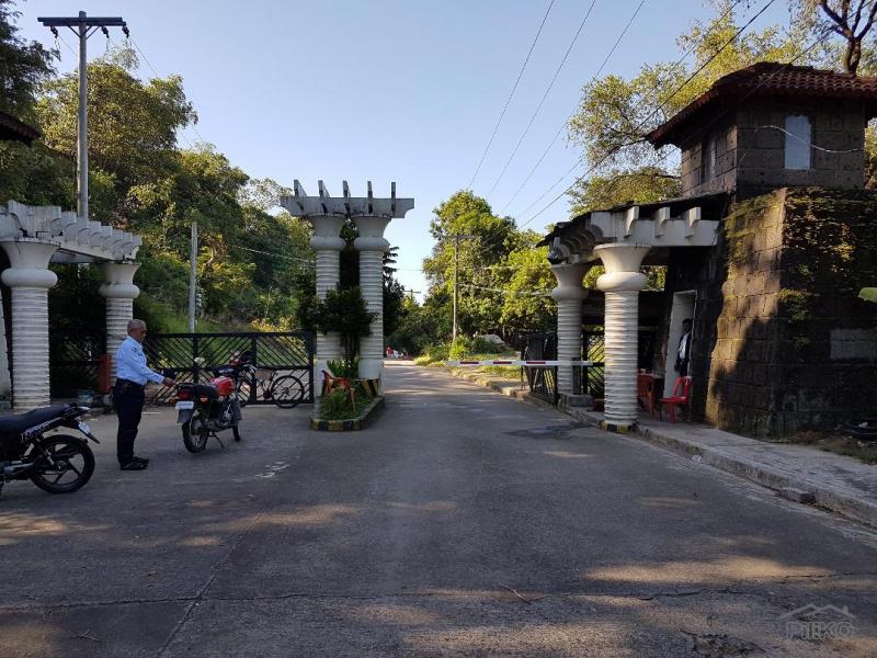 Residential Lot for sale in Subic - image 2