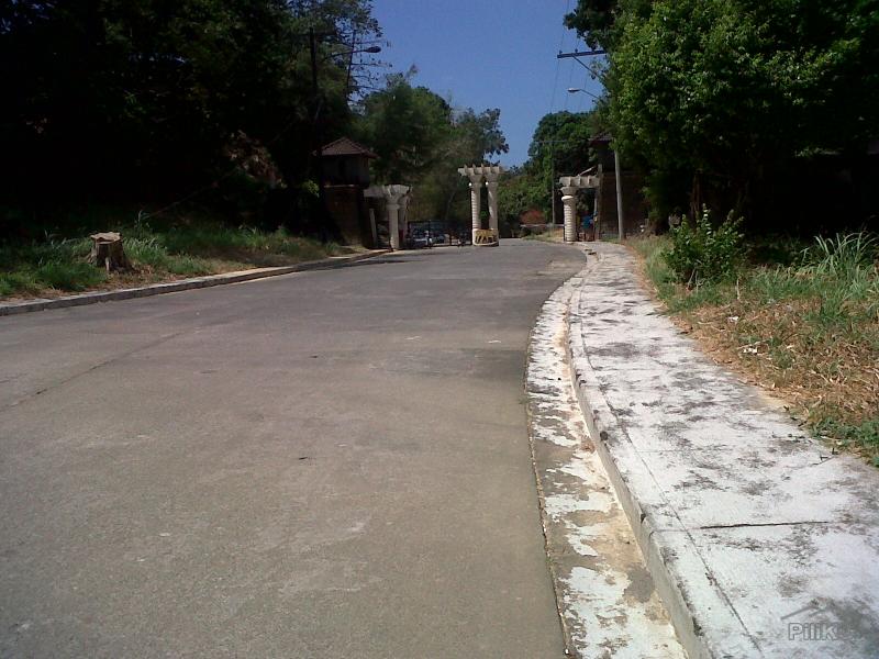 Residential Lot for sale in Subic - image 3