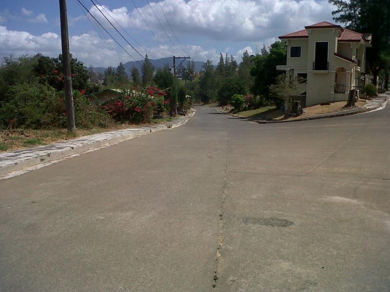 Residential Lot for sale in Subic - image 4