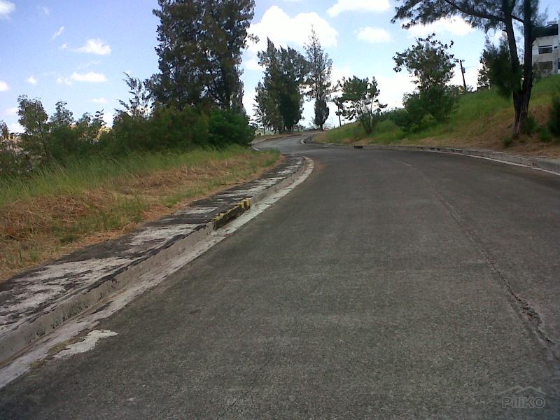 Residential Lot for sale in Subic - image 5