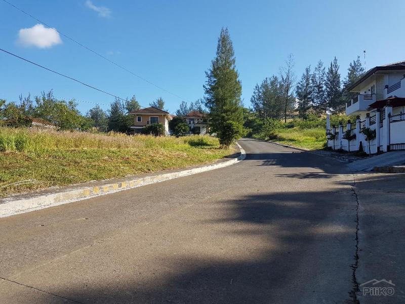 Picture of Residential Lot for sale in Subic in Philippines