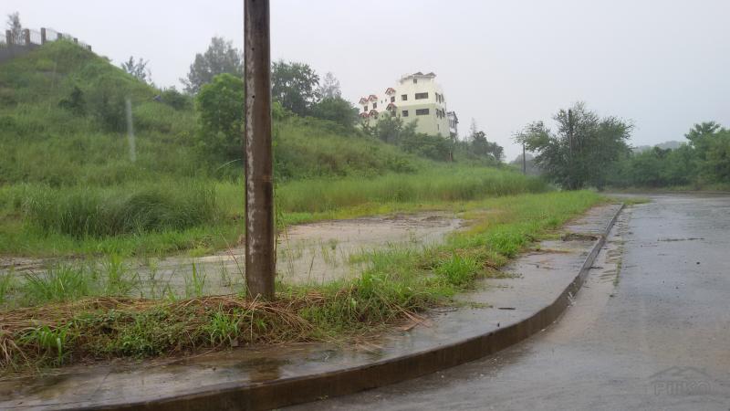 Residential Lot for sale in Subic in Philippines - image