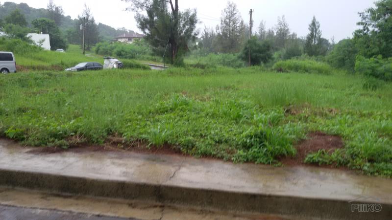 Residential Lot for sale in Subic - image 9