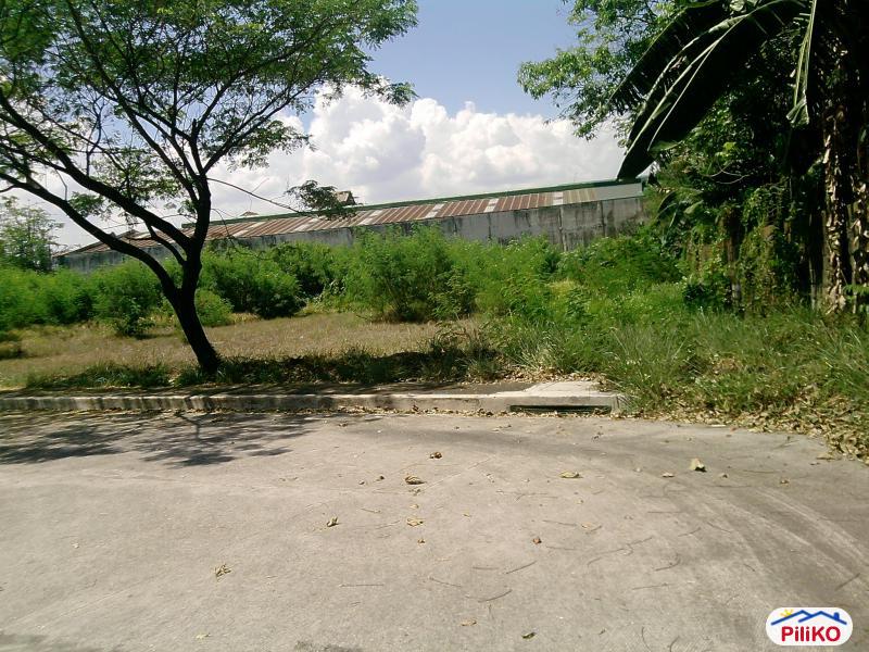 Residential Lot for sale in Taytay - image 9