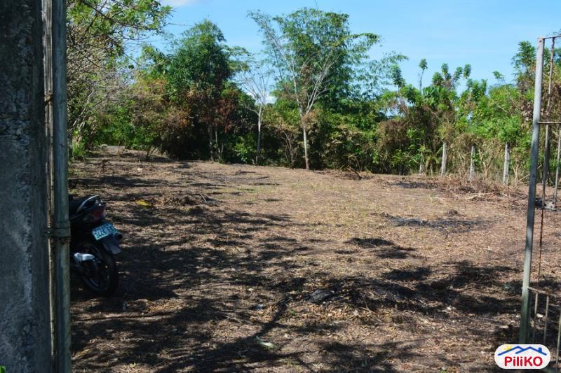 Pictures of Other lots for sale in Naga