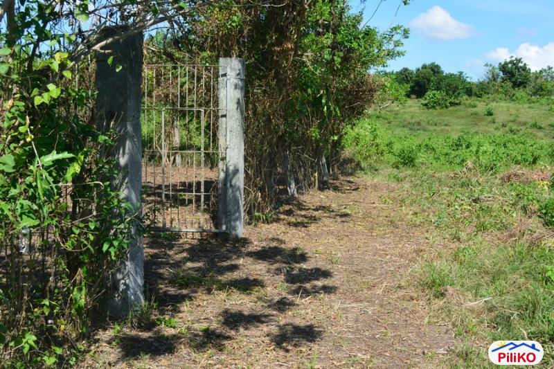 Other lots for sale in Naga - image 2
