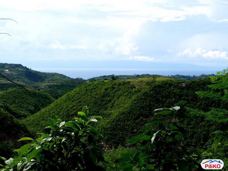 Pictures of House and Lot for sale in Barili