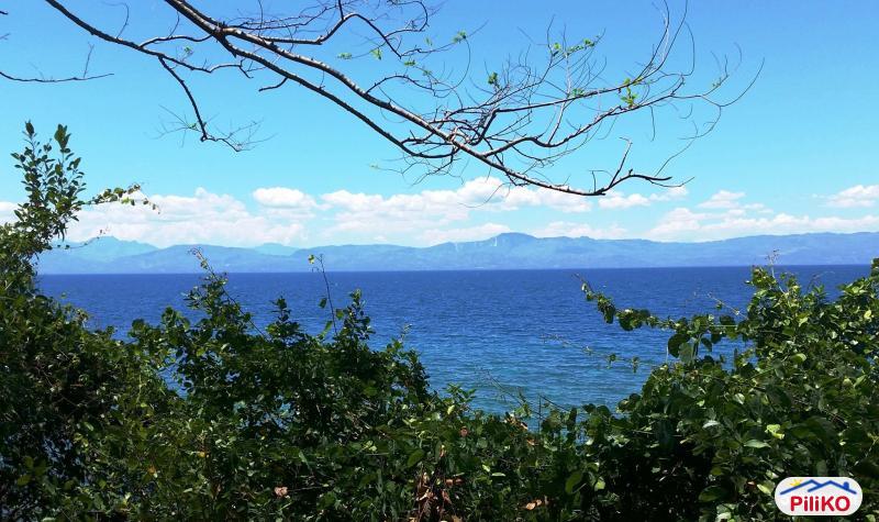 Pictures of Residential Lot for sale in Barili
