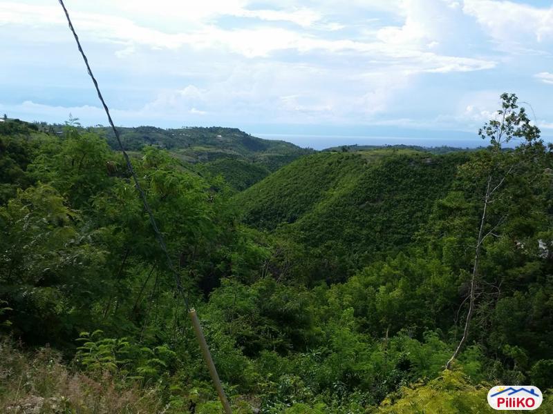 House and Lot for sale in Barili - image 2