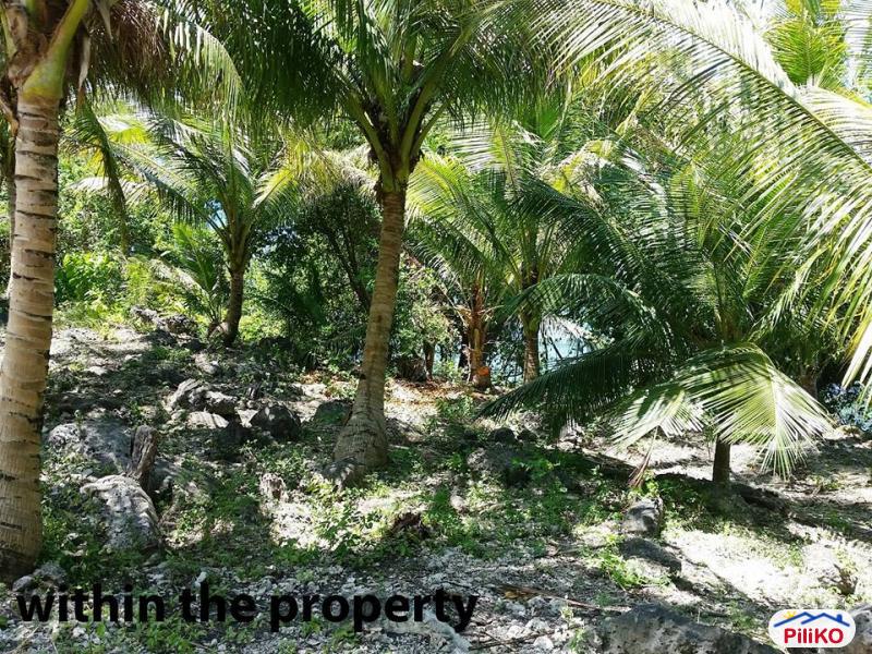 Residential Lot for sale in Barili