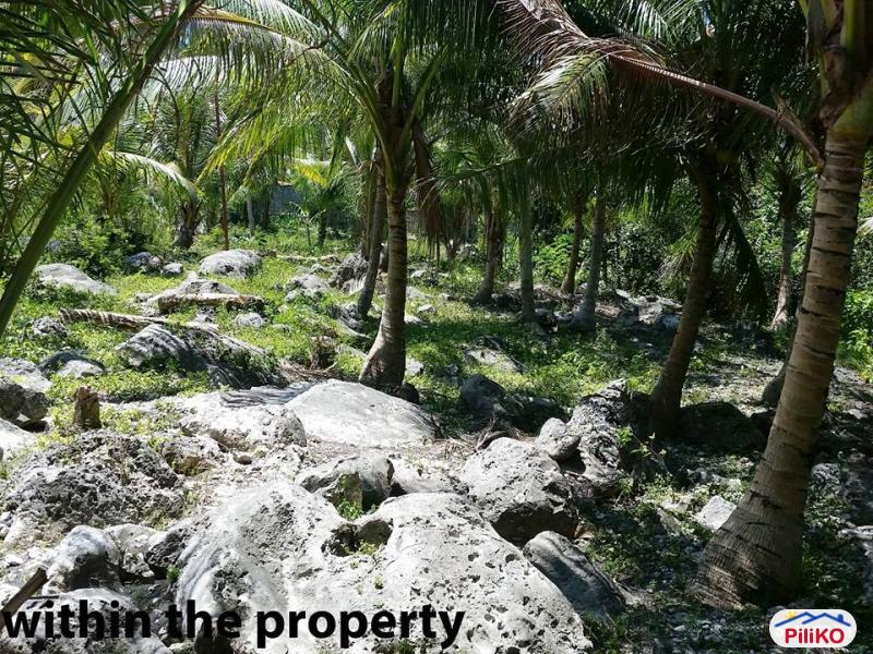 Residential Lot for sale in Barili - image 3